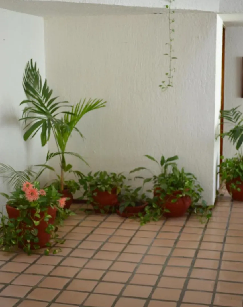 Cancun Luxury Stella Maris Villa By The Sea