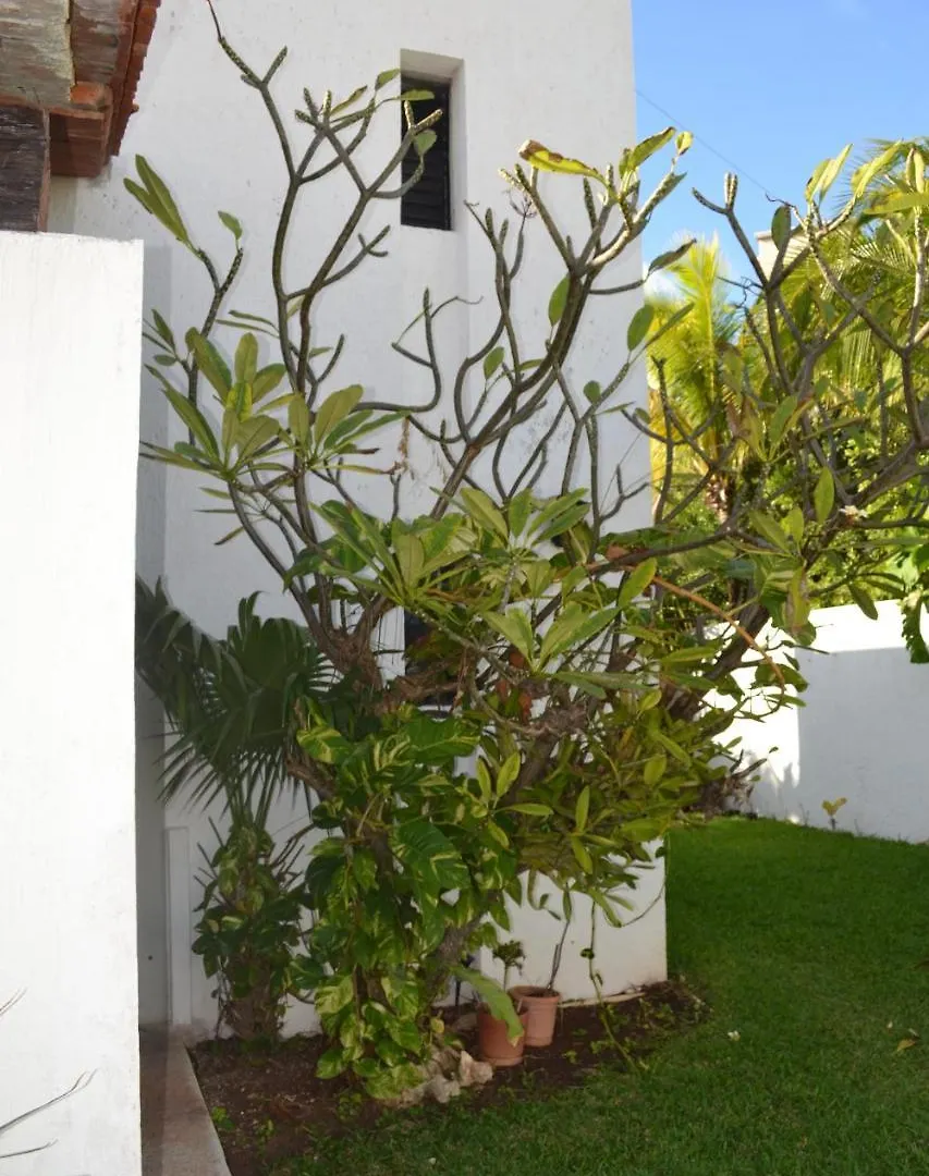 Cancun Luxury Stella Maris Villa By The Sea