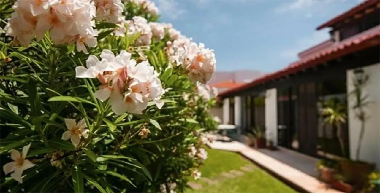 Cancun Luxury Stella Maris Villa By The Sea